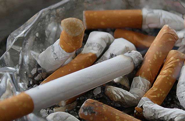 Dampak Rokok Bagi Kesehatan Manusia