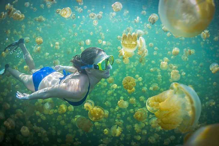 Destinasi Kolam Renang Natural dengan Pemandangan Paling Indah