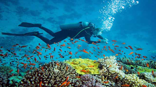 Destinasi Spot Diving dan Snorkling di Kalimantan