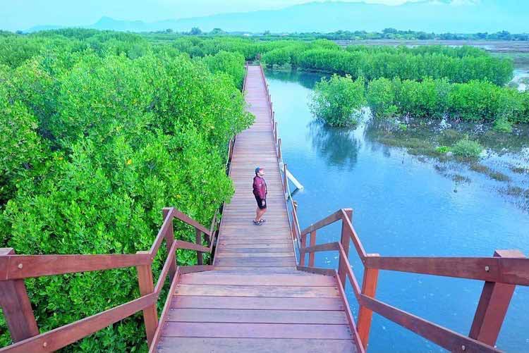 Destinasi Wisata Kota Pekalongan