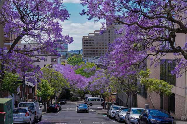 Keajaiban Alam yang Bisa Kamu Saksikan di New South Wales Australia