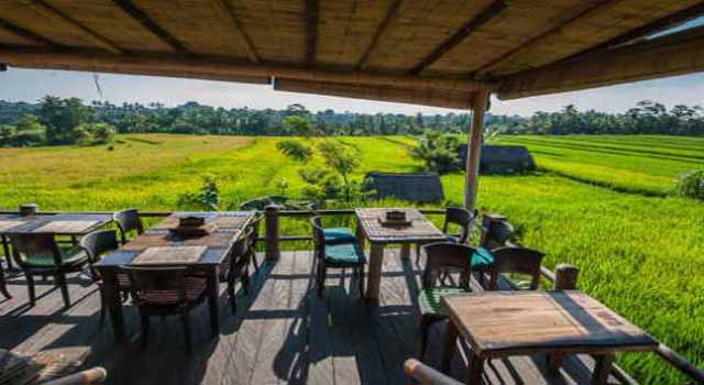 Kuliner Makan Di Restoran Dengan Panorama Sawah Di Jogya