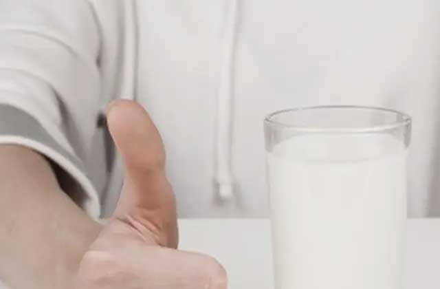 Manfaat Susu Domba Bagi Kesehatan Tubuh Manusia