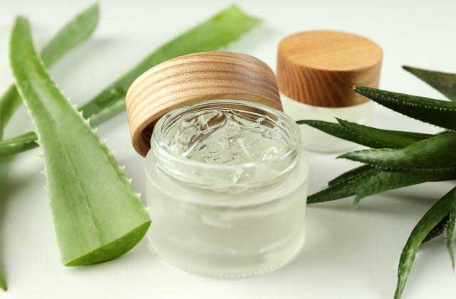 Rekomendasi 10 Aloe Vera Gel Yang Bagus Untuk Wajah Dan Tubuh