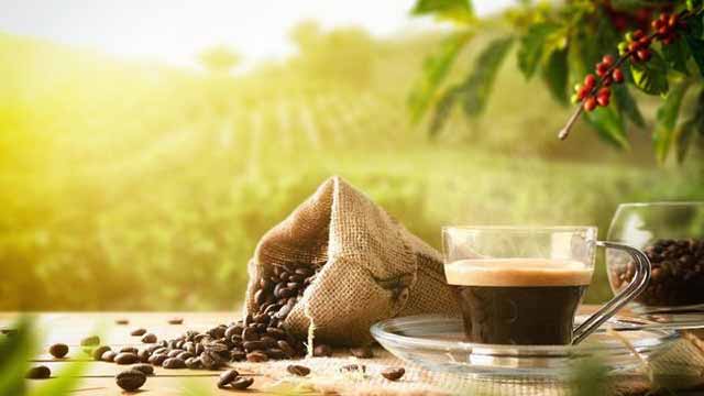 Simak Yuk Beberapa Manfaat Kopi Untuk Tubuh