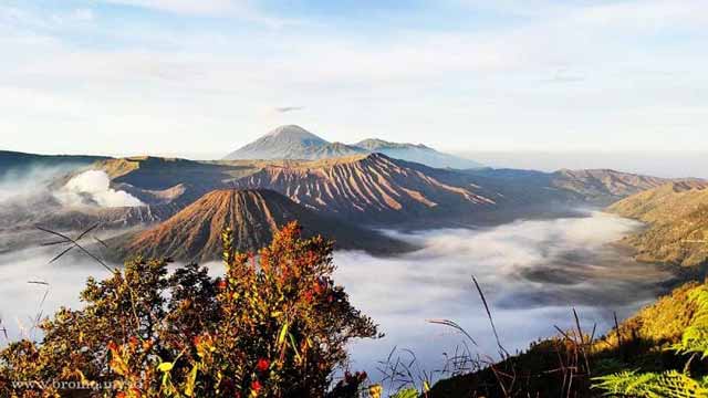 Spot Kemah Di Sekitar  Bromo Paling Keren