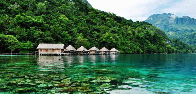 Taman Nasional di Papua dan Maluku Dengan Pesona Memukau