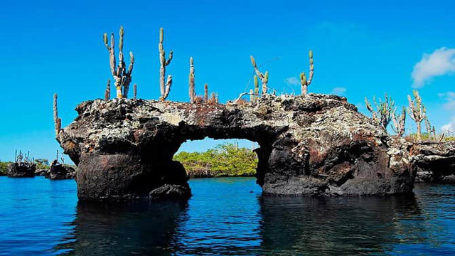 Destinasi Permata Benua Amerika Tempat Wisata Di Galapagos