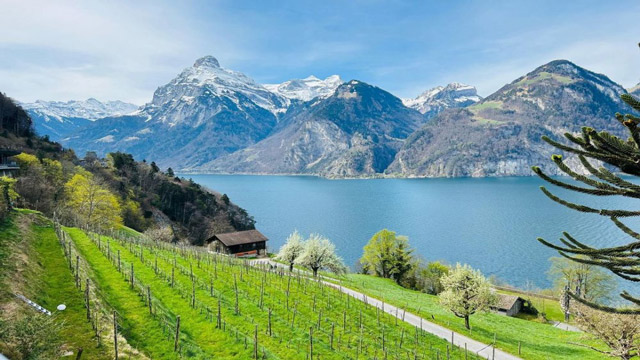 Destinasi Wisata Liburan Di Swiss Yang Manjakan Mata